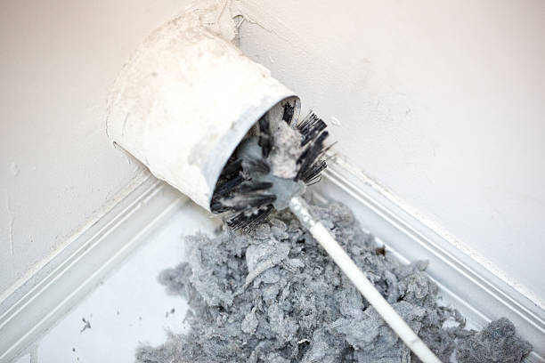 Best Air Duct Cleaning Company Near Me  in Winter Gardens, CA